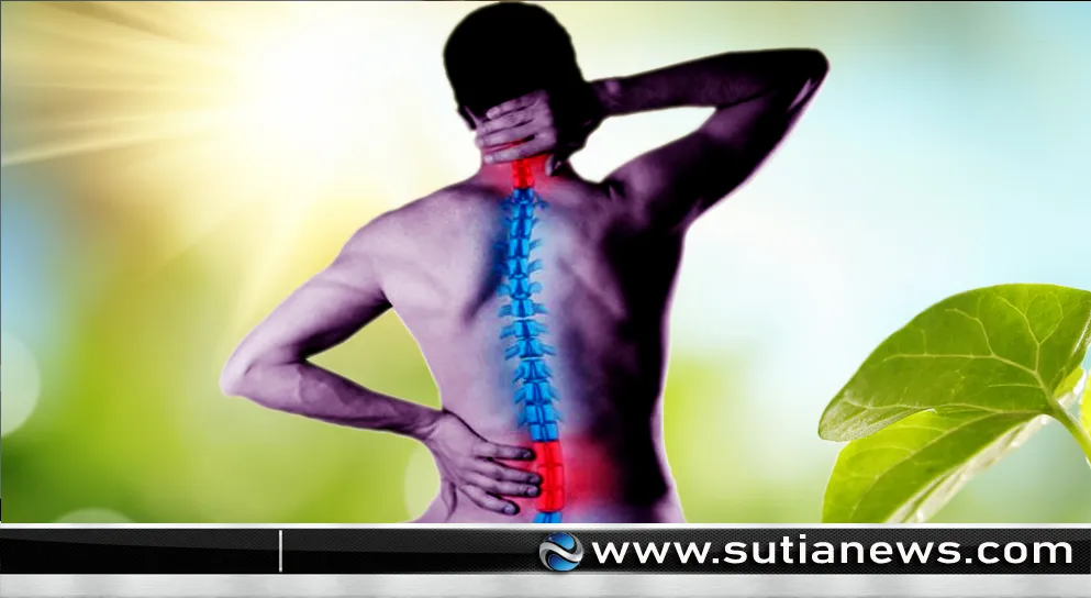 আধুনিক জীবনে পিঠে ব্যথা: বাড়ছে ঝুঁকি, জানুন প্রতিরোধের উপায়
