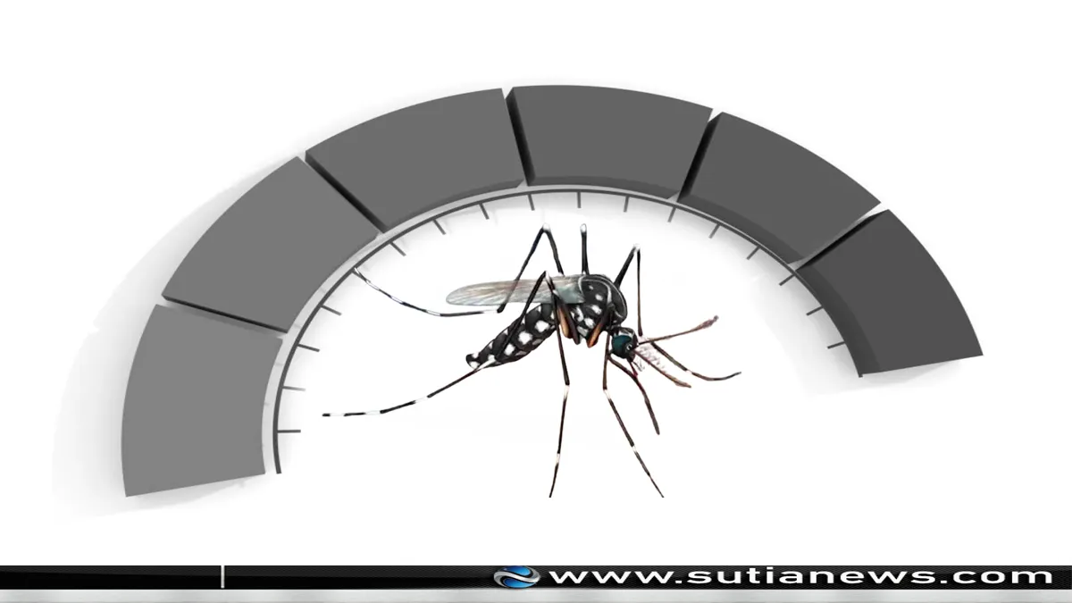 ডেঙ্গু: একদিনে ৮ জনের মৃত্যু, হাসপাতালে ভর্তি ৭৭৮