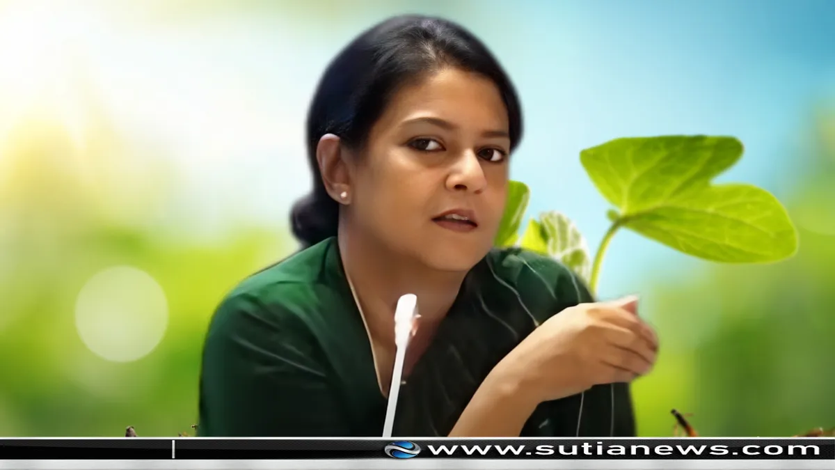 সেন্ট্রাল রোডে সৈয়দা রিজওয়ানা হাসানের বাড়ির সামনে ককটেল বিস্ফোরণ